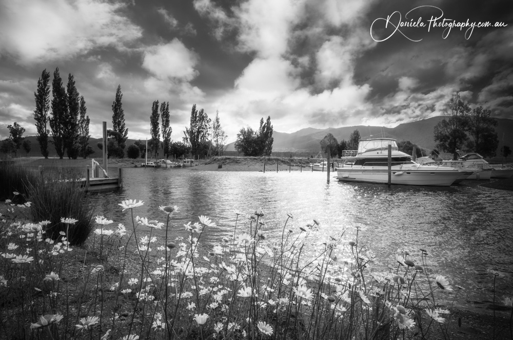 Idyllic Landscape in black and white at Lake Te Anau New Zealand